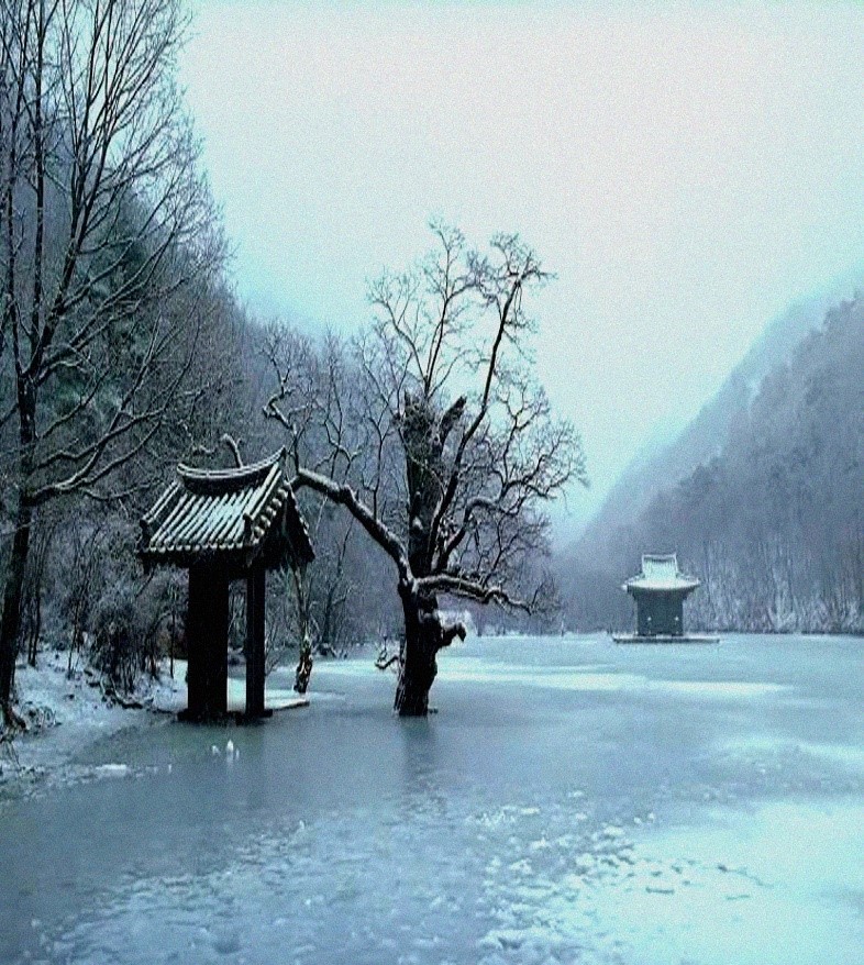 asian cinema racheals world