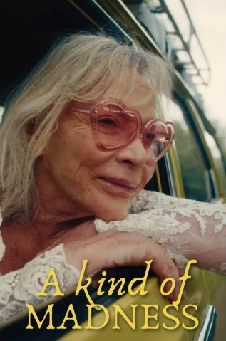 A Kind of Madness Review: Dementia, Family, Memories, and Aging a kind of madness (2)